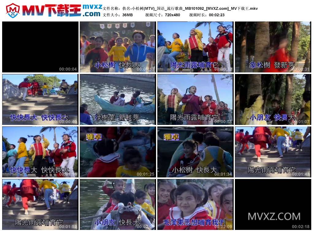 佚名-小松树(MTV)_国语_流行歌曲_MB101092